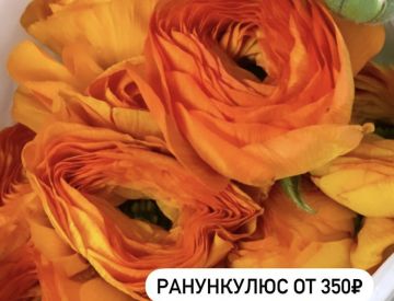 Посмотрим и на отдел Срезанных цветов!